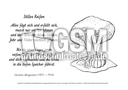 M-Stilles-Reifen-Morgenstern.pdf
